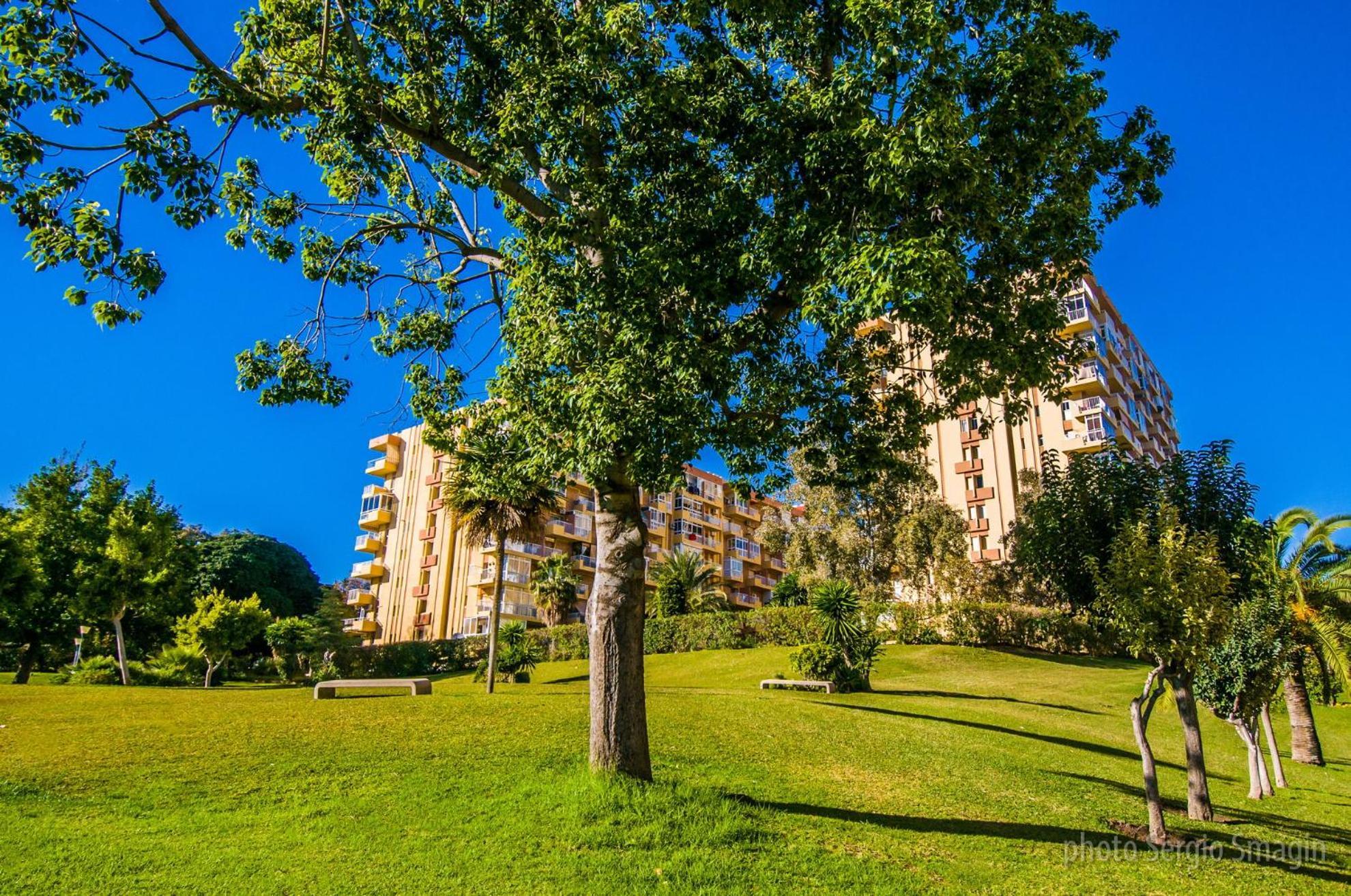 237 Estudio En Minerva Apartamentos - Piscina Y Playa- Excelente Ubicacion مالقة المظهر الخارجي الصورة